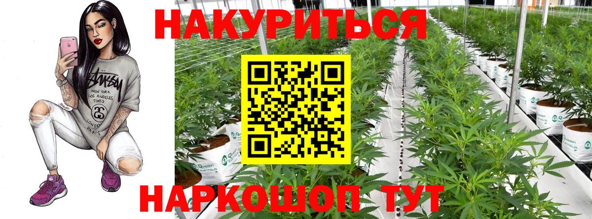 Канабис Ganja  Вход с VPN  Бошки Шишки Amnesia  Волоколамск  Шишки марихуана SATIVA & INDICA 